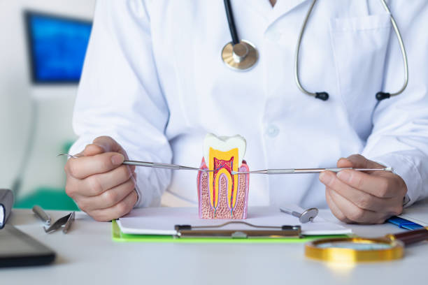 Best Emergency Dentist for Lost Fillings or Crowns in Leland, NC